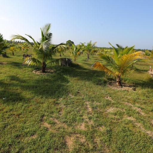 Kayjay Palms Passikudah Exterior foto